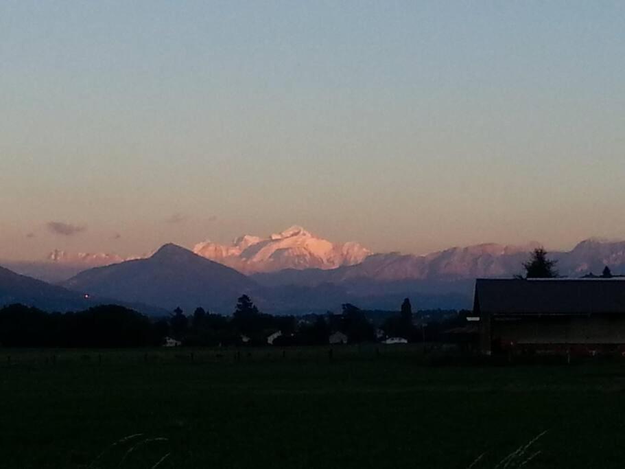 Dans Un Jardin Genève